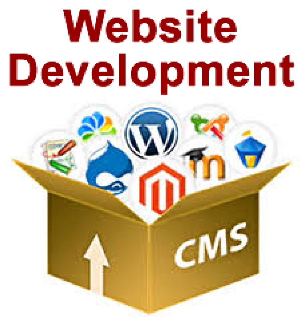 Website Development